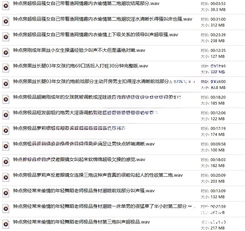 五一假期房内录音笔偷听门缝偷录极品淫叫40V/5.17G
