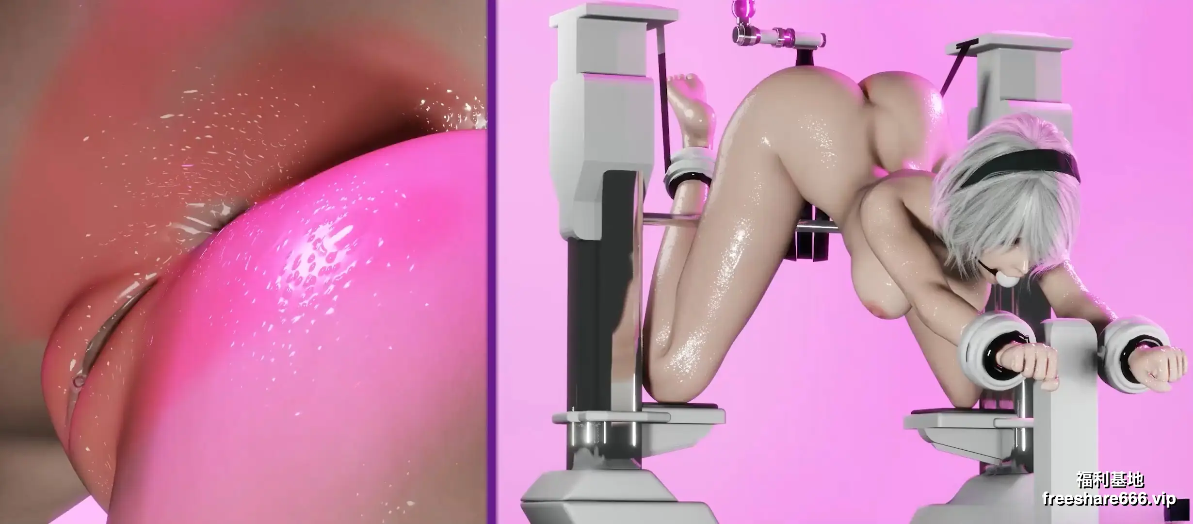 动画大神DV8Animations